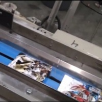 Production of Sports cards and Processing
